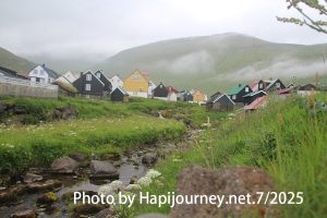 IMG 2982 (1)
