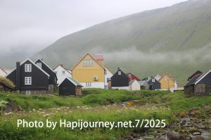 IMG 2984 (1)