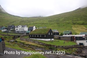 IMG 3005