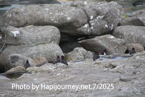 IMG 3011
