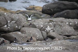 IMG 3015 (1)