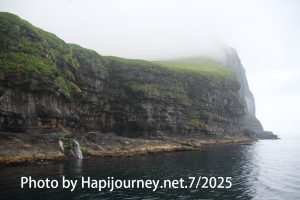 IMG 3039