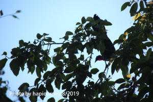 IMG 3083