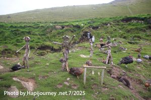 IMG 3083 (1)