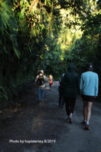 IMG 3087