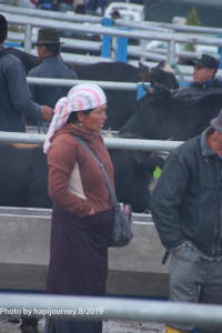 IMG 3258