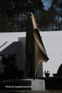 IMG 3514