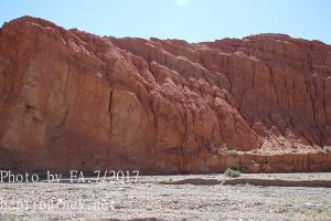 IMG 3708