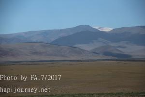 IMG 3791