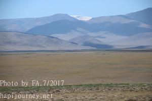 IMG 3792