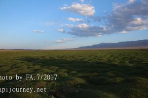 IMG 3800