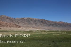 IMG 3968