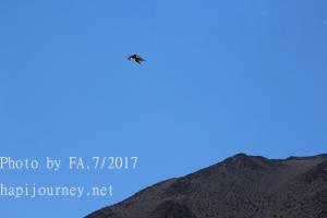 IMG 3972