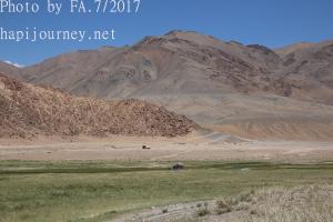 IMG 3981