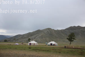 IMG 4195