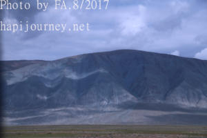 IMG 4241