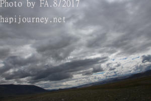 IMG 4250