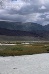 IMG 4279