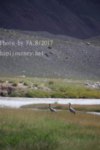 IMG 4283