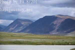 IMG 4294