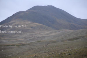 IMG 4393