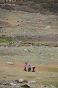 IMG 4394