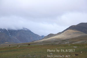 IMG 4397