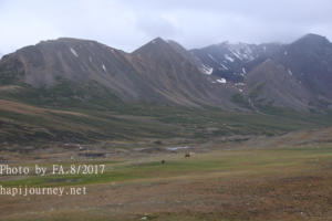 IMG 4398