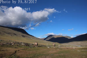 IMG 4504